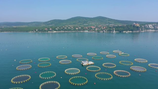 Fishing gear on the sea shore near Trieste, Italy.