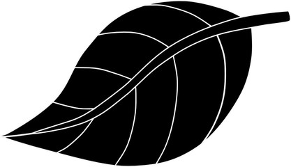 Black Leaf Silhouette Nature Vector Cartoon Illustrations