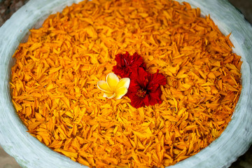 Vase is filled with water and decorated with orange leaves and beautiful red flowers in tropical garden. Island Bali, Indonesia . Close up