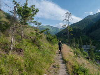 Fototapeta premium Men hiker with hat and backpack hiking on path from Ziarska dolina. Lush green grass, spruce trees and montain peaks. Western Tatras mountains, Rohace Slovakia, summer sunny day, blue sky
