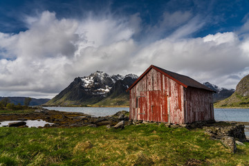 Fototapeta na wymiar Red hut on the shores of a fjord, Lofoten Islands, Norway
