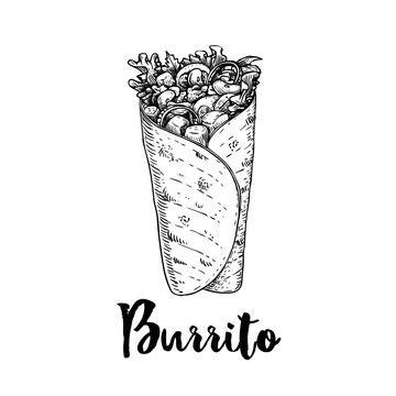 Hand drawn sketch style burrito wrap. Traditional Mexican cuisine illustration. Fast food. Street food drawing. Best for restaurant menu and package design.