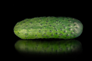 Green cucumber (gherkin) on a black background