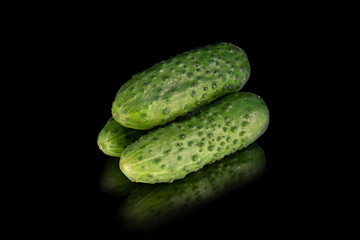 Green cucumbers (Gherkin) isolated on black background