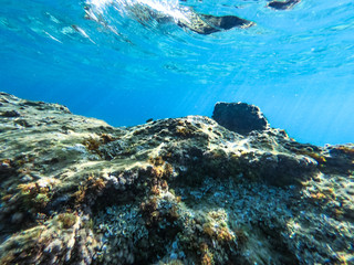 Underwater view of the rocks, sand and stones. The sandy and rocky bottom of the sea with some sun rays.