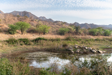 The Ranakpur dam in India