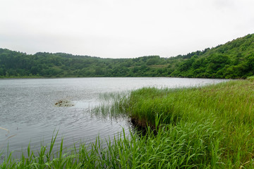 雨のオタトマリ沼