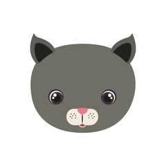 head of cat for baby card with white background
