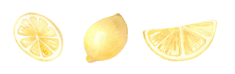 Watercolor clip art set of lemon slices hand painted isolated on white background.
