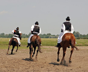 Pusta Hungary Horsemen Horseriding