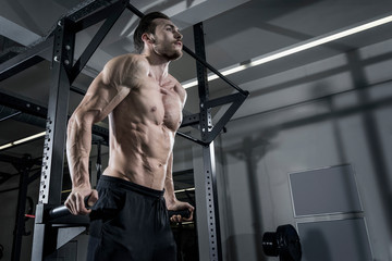Shirtless muscular man doing dips exercise at the gym