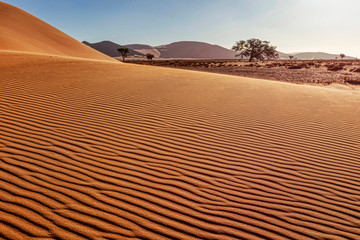 Scenic view of sand dunes at Sossusvlei, Namibia, Africa