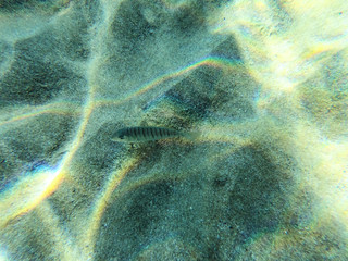 Underwater view of the rocks, sand and stones. The sandy and rocky bottom of the sea with some sun rays.