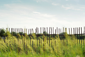 wooden fence of twigs among a blooming meadow and blue sky with clouds background