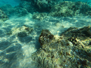 Underwater view of the rocks, sand and stones. The sandy and rocky bottom of the sea with some sun rays.