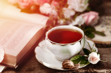 Vintage still life with an old porcelain tea cup, fresh little rose, snail and book.
