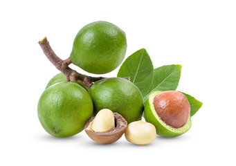 macadamia nuts with leaf isolated on white background. full depth of field