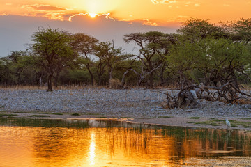 Waterhole at Etosha National Park during sunset, Namibia, Africa