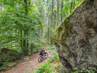 Mountain biker riding uphill through forest woods, Hinterzarten , Baden-Württemberg, Germany