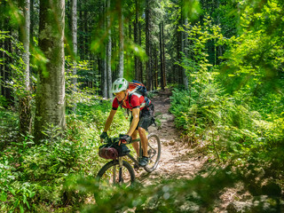 Mountain biker riding amidst woods of Black forest, Hinterzarten, Baden-Württemberg, Germany