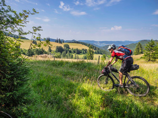 Mountain biker cycling through forest, near Todtnau, Baden-Württemberg, Germany