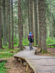Mountain biker cycling on boardwalk in the forest, near Todtnauberg, Baden-Württemberg, Germany