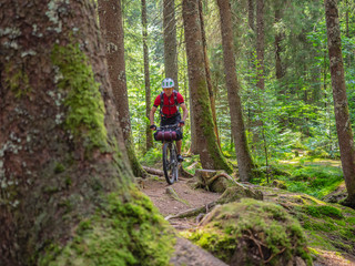 Mountain biker cycling through woods of Black Forest, near Aha, Baden-Württemberg, Germany