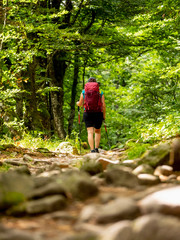 Women hiking through forest and rocks above Lac Vert at Col de la Schlucht in Vosges, France