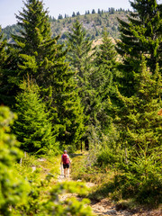 Rear view of a women walking towards Vosges mountain at Hilsenfirst, France