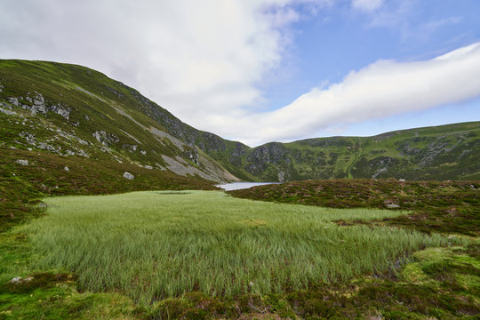 Looking past the Reed beds and beyond to Loch Brandy, a small glacial loch in a Corrie in the Angus Glens of Scotland.