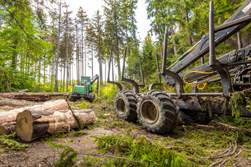 Harvester (heavy forestry vehicle) working in the European mixed forest