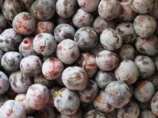 prune fruit food background