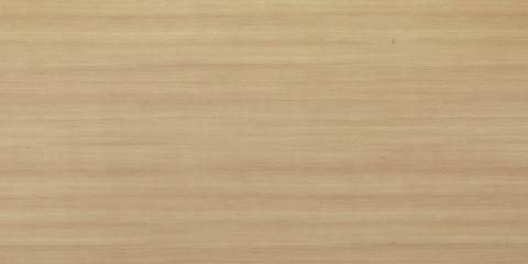 Wood texture background. Wooden panel with natural pattern for design and decoration