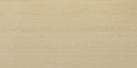 Wood texture background. Wooden panel with natural pattern for design and decoration