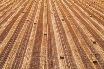 Aerial view of square hay bales in field after harvest