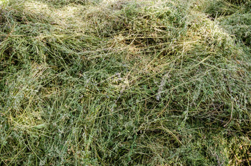 a pile of hay for the background