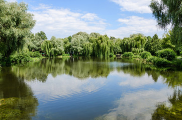 Fototapeta na wymiar beautiful view: lake in the park, blue sky and trees around