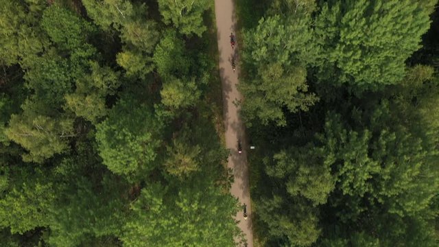 Top-down drone footage following a group of mountainbikers riding on a narrow path in the pine forest. Filmed in realtime.