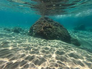 Naklejka na ściany i meble Underwater view of sea bottom with sand, rocks and stones..