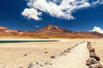 View of Laguna Miscanti in a bright sunny day in Atacama desert, Chile.