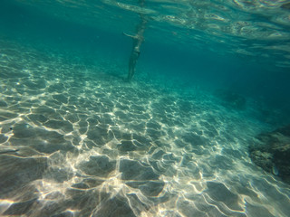 Diving in the sea water. Underwater walking at the bottom of the seash.