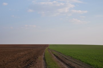 Fototapeta na wymiar road separating fields with winter crops and plowed against the sky with clouds