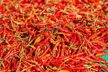 red chili peppers, closeup view