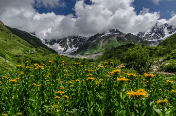 Fototapeta premium Georgia, Svaneti, Trek from Ushguli to Shkhara glacier. Beautiful view of valley, multi-colored ,Nature and travel.
