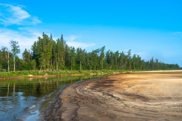 river in the forest