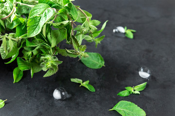 branches of green mint with pieces of ice on the black surface