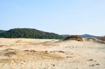 Sindu-ri Coastal Sand Hills in Taean-gun, South Korea.