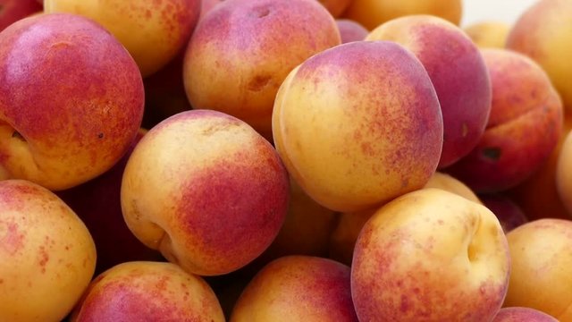 organic red colored apricots, ripe apricots, natural apricot fruit, dark pink fried fresh apricots,