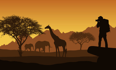 Realistic illustration of African safari with mountain landscape, trees and elephant and giraffe. Tourist with backpack takes photographing of animals. Under the orange sky with rising sun, vector © Forgem