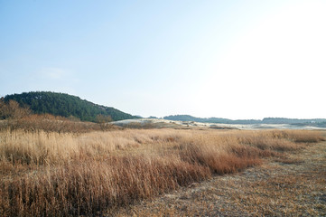 Sindu-ri Coastal Sand Hills in Taean-gun, South Korea.